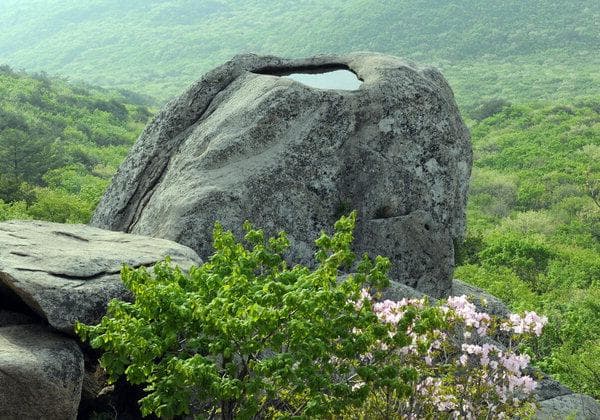 금정산 금샘 바위 — 세무법인 금샘의 상징